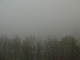 Morning fog © Robert