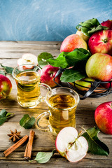 Homemade apple cider with cinnamon and anise spices, with fresh apples on wooden rustic background copy space