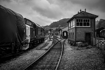 Obraz premium The Yard.