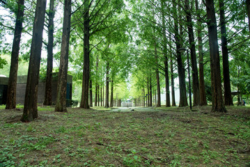 日本へそ公園
