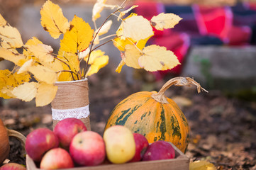 A beautiful autumn photograph of the abundance of red apple and pumpkin harvest. Wooden box with...