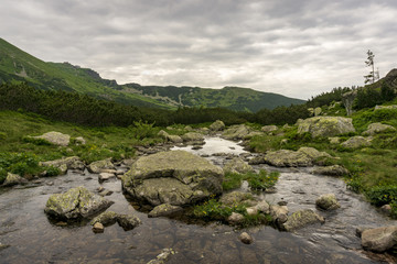 Fototapeta na wymiar Gasienicowa Valley in June. Tatra Mountains. Poland.