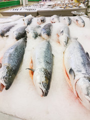 Fresh live fish on ice on open market