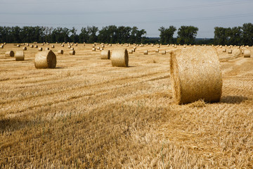Fototapeta na wymiar Harvested field with straw bales in summer