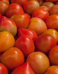 A group of red tomatoes, closeup photography