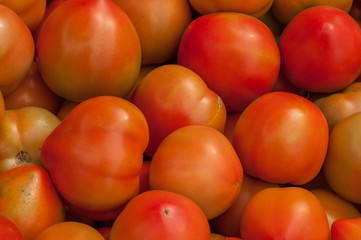 A group of red tomatoes, close-up