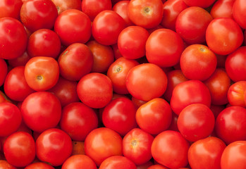 Little red tomatoes, close-up photography