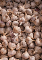 Lots of garlic, close-up, market