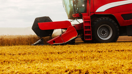 Harvesting all day long
