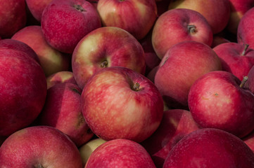 Group of apples on the market