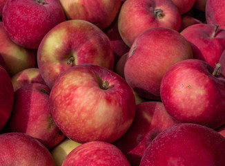 Fototapeta na wymiar Group of red apples, close-up