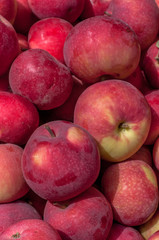 Red apples, market in the city