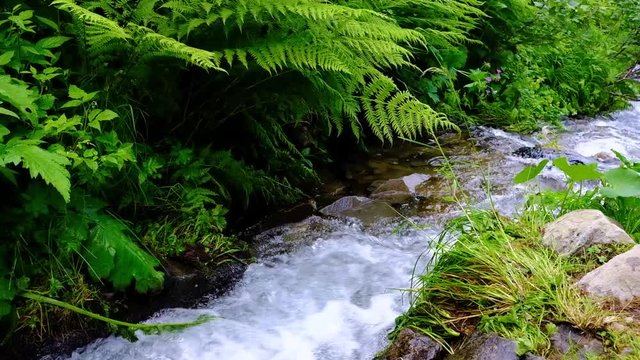 Small mountain stream close up slow motion video