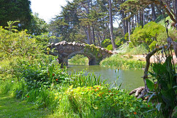 River and bridge in the Golden Gate park, San Francisco