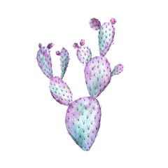 Colorful cactus hand painted watercolor illustration