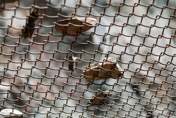 Falling rock stone rockfall slide protective fence barrier close-up macro single
