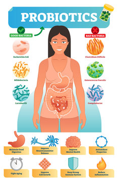 Vector illustration with probiotics. Medical bacteria and health benefits collection poster with escherichia, bifidobacteria, lactobacilli, clostridium and campylobacter.