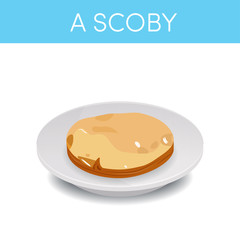 A SCOBY on a saucer, vector