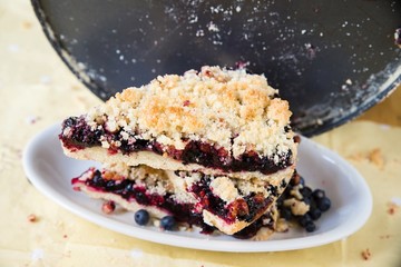 Two pieces of blueberry cake won plate with pan.