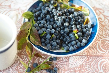 Blueberries with leaf on plate on table.