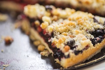 One piece of blueberry and currant cake.