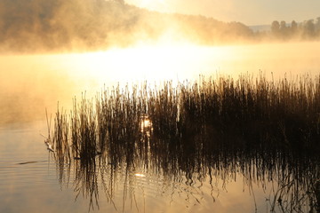 Sunrise over misty lake