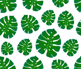 monstera seamless pattern. Print with leaves. Design of textiles and fabrics. Trendy palm leaves