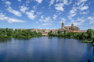 Fototapeta na wymiar panorámica del rio Tormes con las catedrales de Salamanca desde el puente Enrique Esteban 