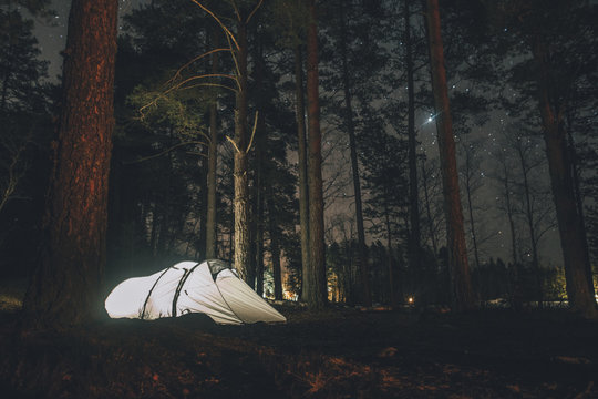 Sweden, Sodermanland, tent in forest under starry sky at night