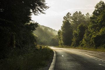 Obraz premium Highway curve/Composition with the curved highway asphalt and the trees around under the golden sunset light.