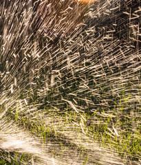 Splashing water to water the lawn as a background