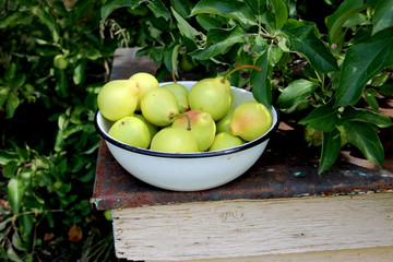 fruit, food, green, apple, fresh, healthy, isolated, red, grape, ripe, apples, grapes, white, diet, sweet, health, tomato, fruits, organic, yellow, bowl, delicious, orange, color, vegetable