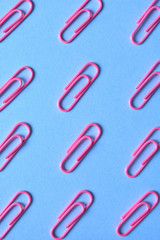 Pink paper clips isolated on blue background, close up, copy space. Top view, flat lay. Back to school, college, education concept