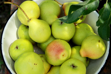 fruit, apple, food, green, healthy, apples, fresh, diet, red, ripe, organic, isolated, delicious, market, sweet, fruits, health, juicy, vegetarian, pear, yellow, agriculture, closeup, nutrition, natur