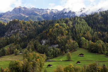 Fototapeta na wymiar Mountain, Forest and Village in Lauterbrunnen, Switzerland