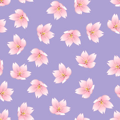 Fototapeta na wymiar Prunus serrulata Outline - Cherry blossom, Sakura on Purple Background.