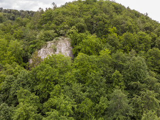 Fototapeta na wymiar Fels, der aus dem Wald ragt - Luftaufnahme