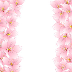 Sakura Cherry Blossom Border