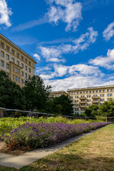 Obraz premium Blühende Sträucher im Staudengarten an der Berliner Karl-Marx-Allee