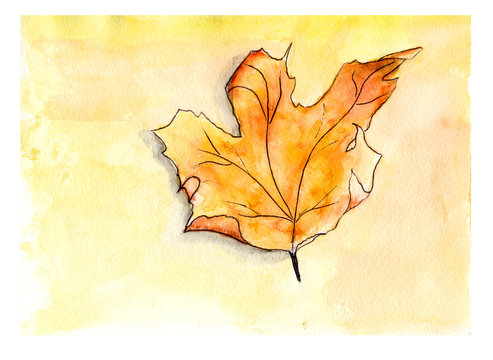 Watercolor autumn maple leaf. Hand drawn painting with watercolor background with stains. 