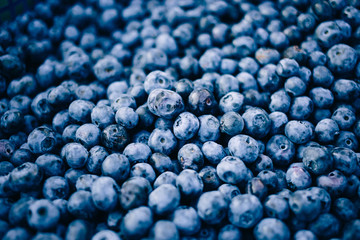 Fresh blueberry berries close up