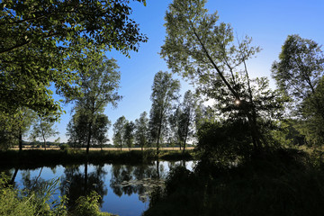 Obraz premium Reflections