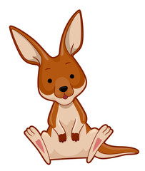Kangaroo Illustration