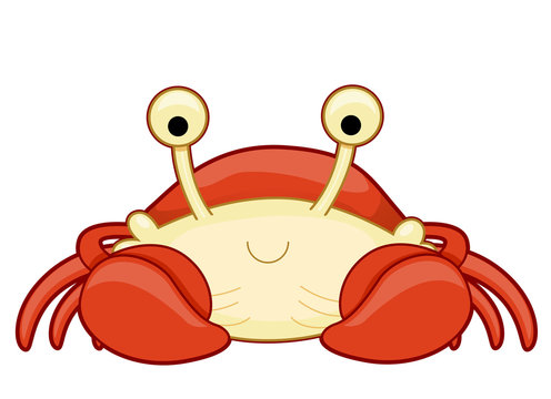 Crab Illustration