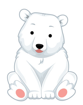 Polar Bear Sit Illustration