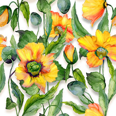 Beautiful orange welsh poppy flowers with green leaves on white background. Seamless floral pattern. Watercolor painting. Hand painted illustration.