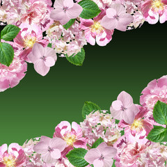 Fototapeta na wymiar Beautiful floral background with peony, hydrangea and dog-rose 