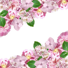 Beautiful floral background with peony, hydrangea and dog-rose 