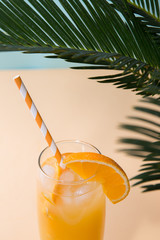 Glass of fresh orange juice and green palm leaves on pastel background. Pop art design, minimal summer concept.