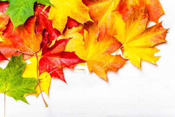 Autumn leaves on white Background, flat lay. Heap of Red, yellow and green Marple leaves, close up